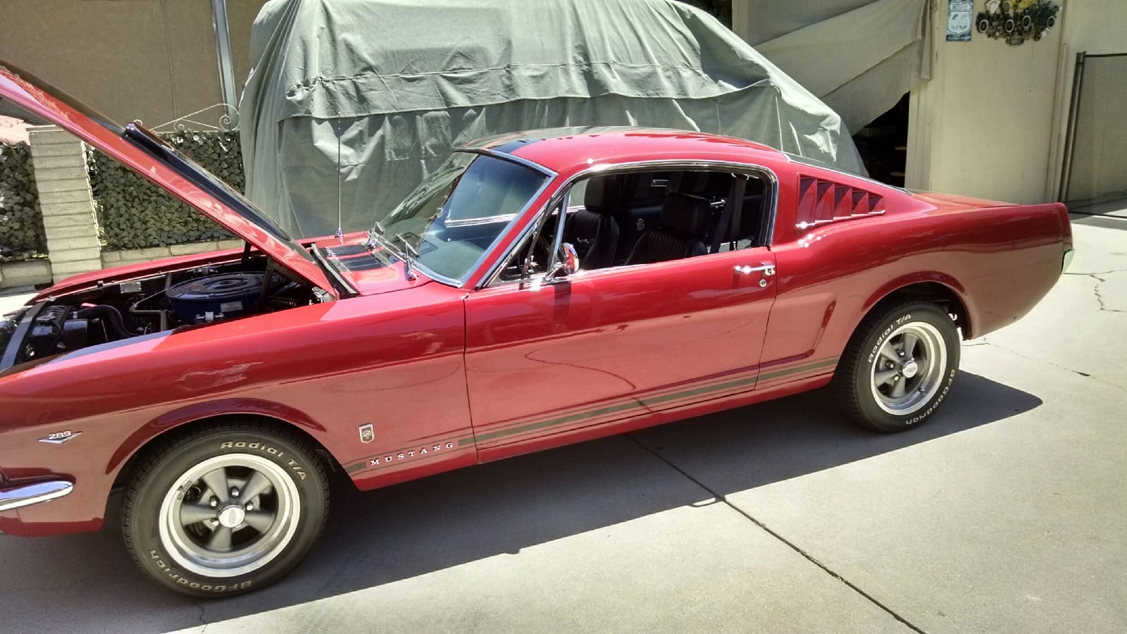 Ford Mustang Fastback v8 gta 1966 prix tout compris