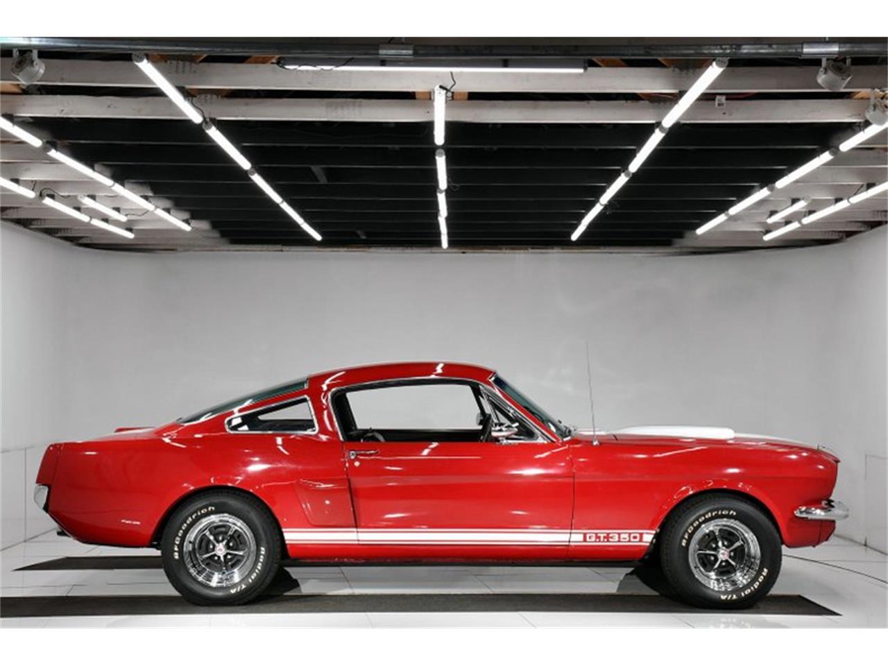 Ford Mustang Shely 350 v8 302 1966 prix tout compris