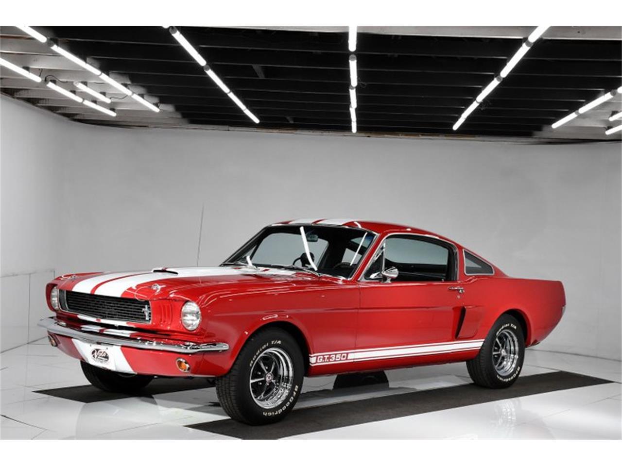 Ford Mustang Shely 350 v8 302 1966 prix tout compris