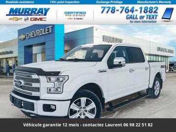 2015 Ford F150 V8 5.0L Flex Platinum SuperCrew 4WD Prix tout compris hors homologation 4500 €