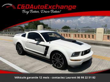 2006 ford mustang GT Deluxe Coupe 2006  Prix tout compris hors homologation 4500 €