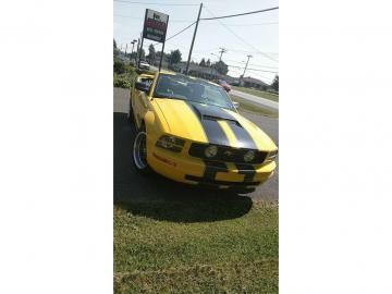 2006 Ford Mustang Tout compris hors homologation 4500e