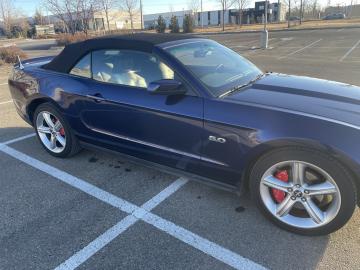 2010 Ford Mustang GT V8 Tout compris hors homologation 4500e
